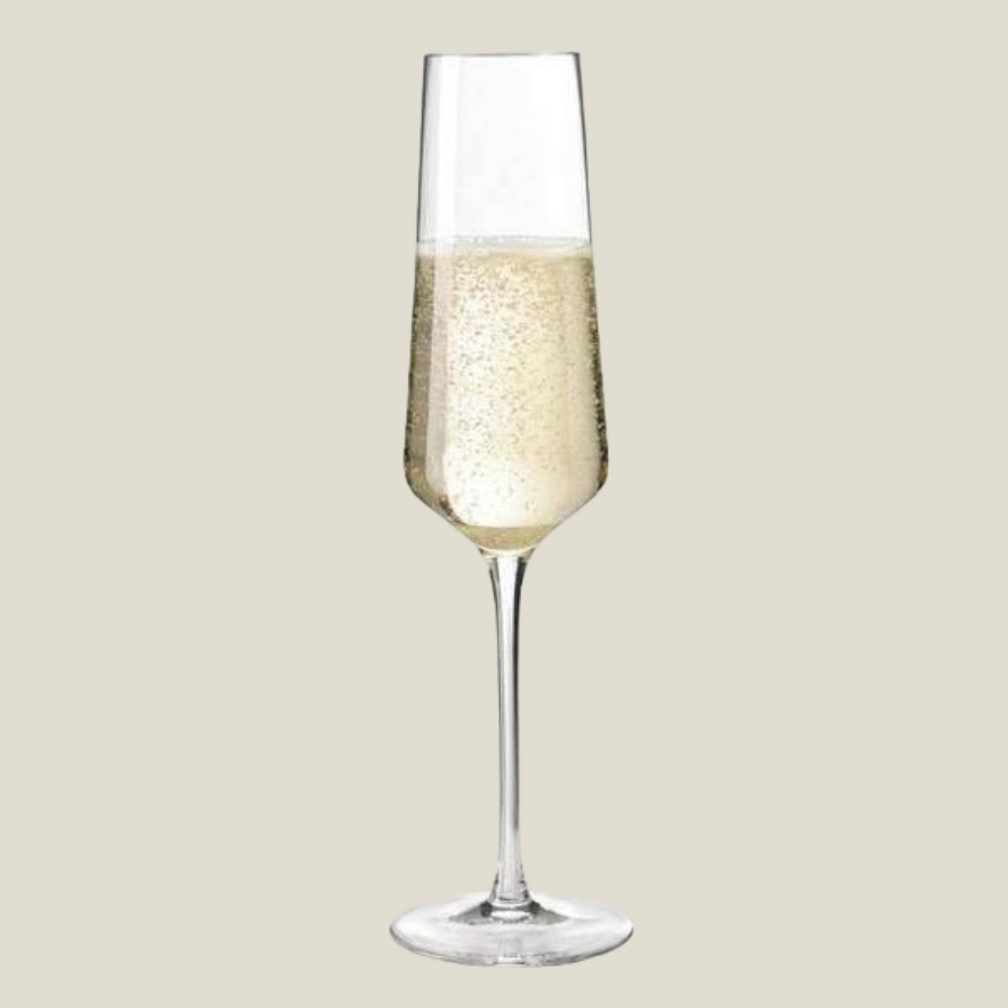 Puccini Champagne Glasses 280ml, Set of 6