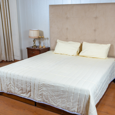 The LuxeLife Light Beige Silk Solid Bedcover