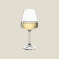 Paladino White Wine Glasses 540ml, Set of 6