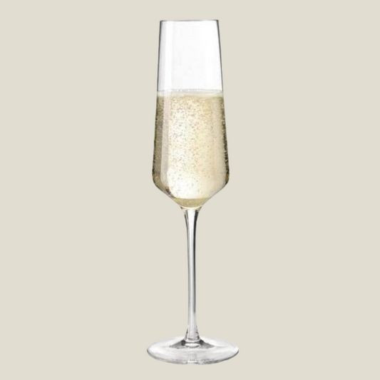 Puccini Champagne Glasses 280ml, Set of 6