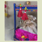 Neel Rang Lohri Hamper